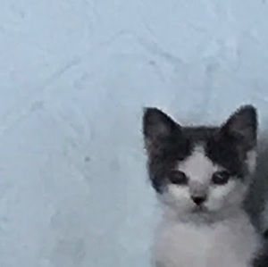 Meet your Posher, Ruby